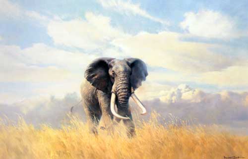 Painting Code#5279-Grant, Donald(UK): A Bull Elephant