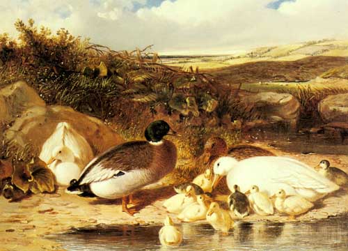 Painting Code#5289-Herring Snr, John Frederick(England): Mallard Ducks and Ducklings on a River Bank