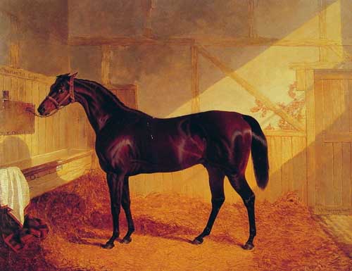 Painting Code#5290-Herring Snr, John Frederick(England): Mr Johnstone&#039;s Charles XII in a Stable