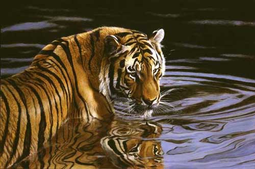 Painting Code#5291-Matthew Hillier: Reflections - Tiger in Water
