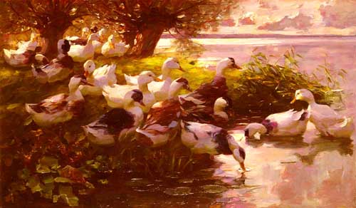Painting Code#5320-Koester, Alexander(Germany): Ducks On A Lake