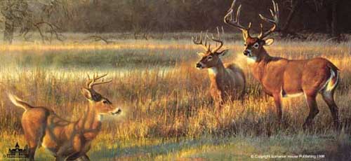 Painting Code#5337-Deers in Landscape