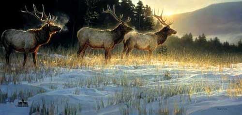 Painting Code#5345-Nancy Glazier:Elk Ridge