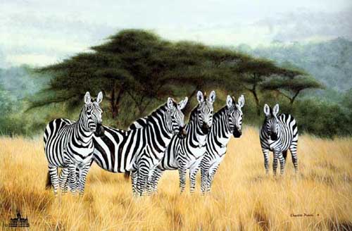 Painting Code#5348-Zebras