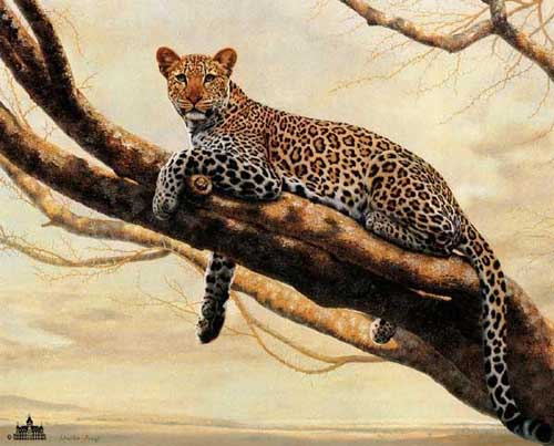 Painting Code#5349-Leopard on the Tree