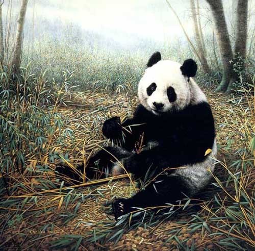 Painting Code#5353-Panda