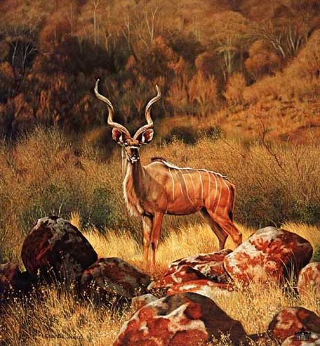 Painting Code#5365-Antelope