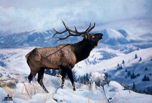 Painting Code#5367-Deer in Snow Landscape