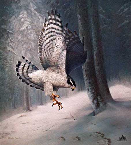 Painting Code#5377-Eagle in Snow Landscape
