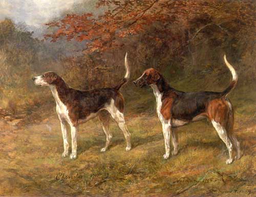 Painting Code#5380-Hardy, Heywood - Chorister and Norman A Couple of Fox Hounds