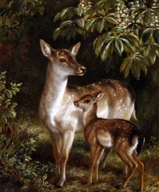 Painting Code#5396-Samuel Carter - Doe with Her Fawn