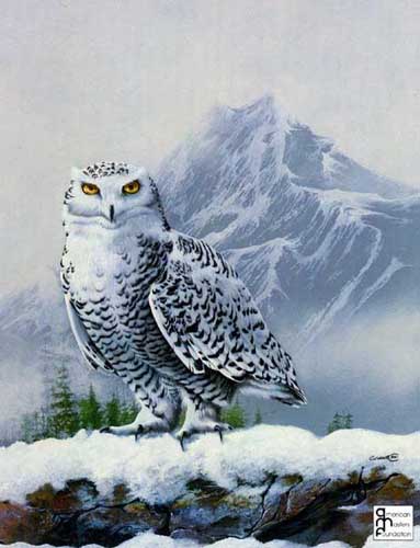 Painting Code#5412-An Owl in Winter Landscape