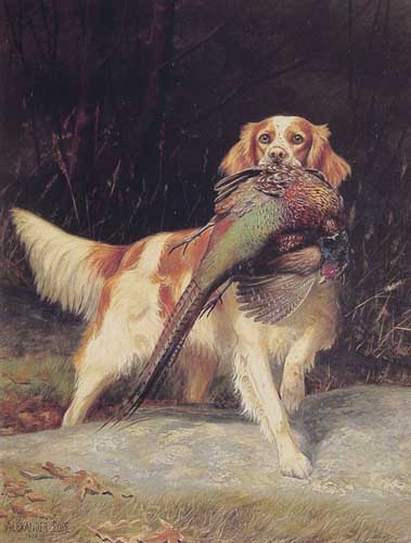 Painting Code#5416-Pope, Alexander(England): Springer Spaniel with Pheasant