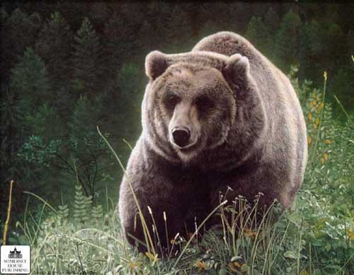 Painting Code#5419-Black Bear