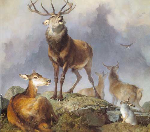 Painting Code#5442-Edwin Henry Landseer - Scene in Braemar- Highland Deer