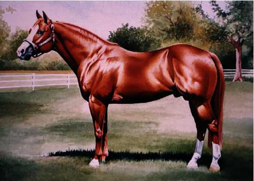 Painting Code#5445-Red Horse