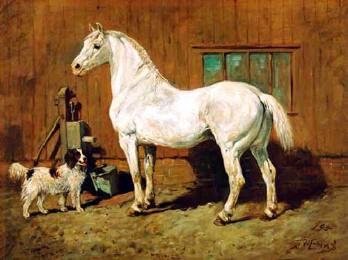 Painting Code#5448-White Horse