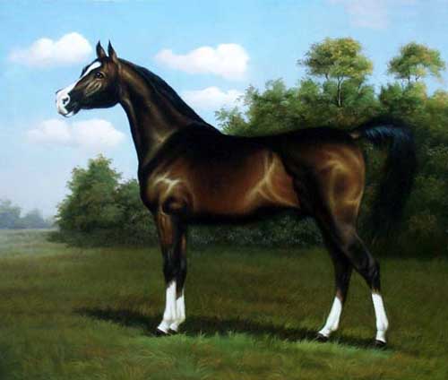 Painting Code#5450-Horse