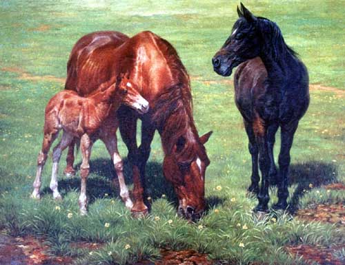 Painting Code#5456-Horse Family