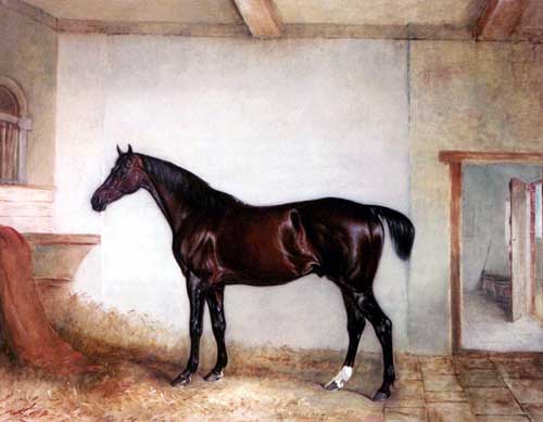 Painting Code#5468-A Horse