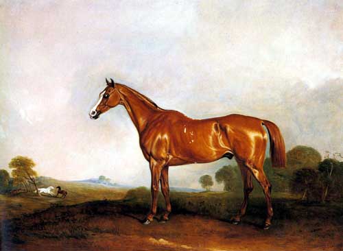 Painting Code#5469-A Horse