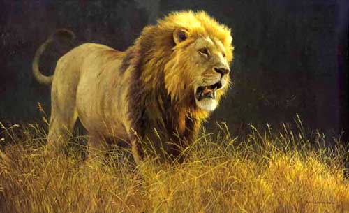 Painting Code#5485-A Lion