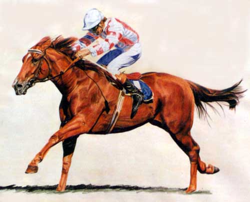 Painting Code#5490-Racing Horse