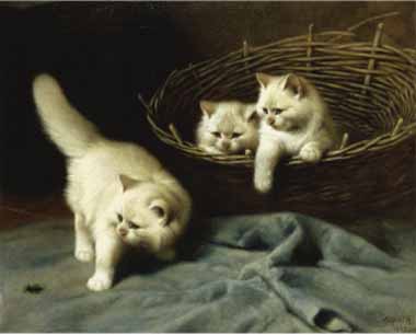 Painting Code#5498-Arthur Heyer - White Angora Kittens with a Beetle