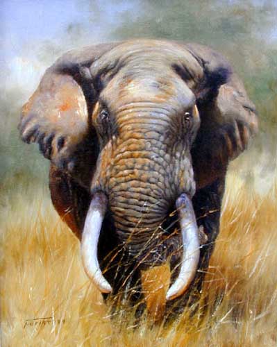 Painting Code#5503-Elephant