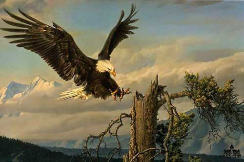 Painting Code#5504-Eagle