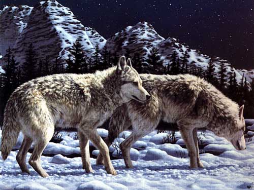 Painting Code#5506-Wolves in Night