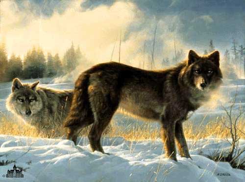 Painting Code#5508-Wolves in Snow