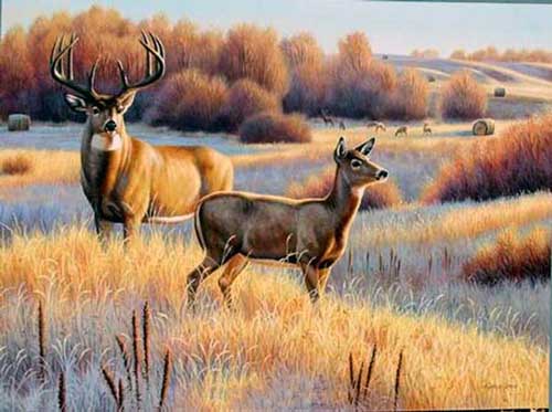 Painting Code#5510-Deers