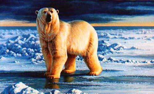 Painting Code#5512-Polar Bear