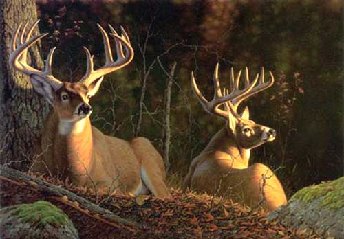 Painting Code#5515-Deers