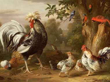 Painting Code#5520-Jacob Bogdany - Poultry and Other Birds in the Garden of a Mansion