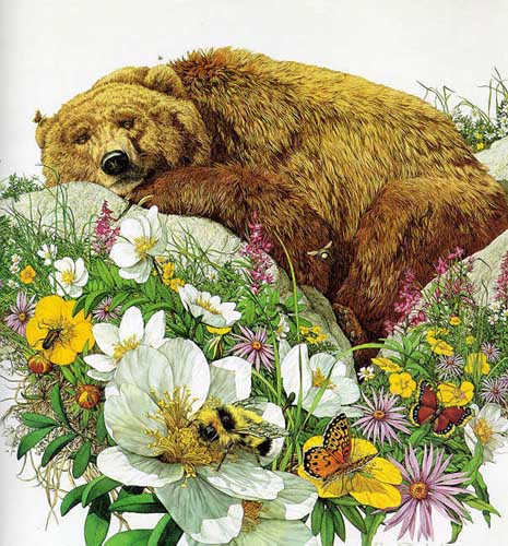 Painting Code#5524-Doolittle: Bugged Bear