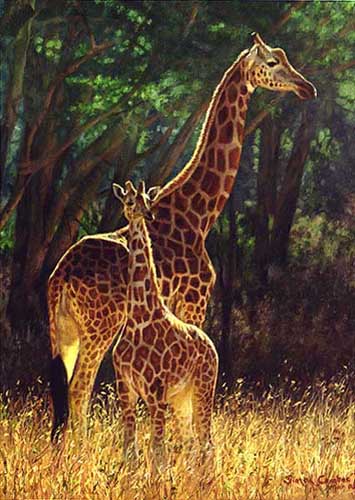 Painting Code#5525-Giraffes