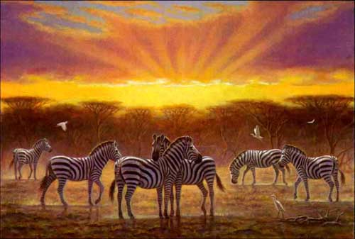 Painting Code#5527-Zebras