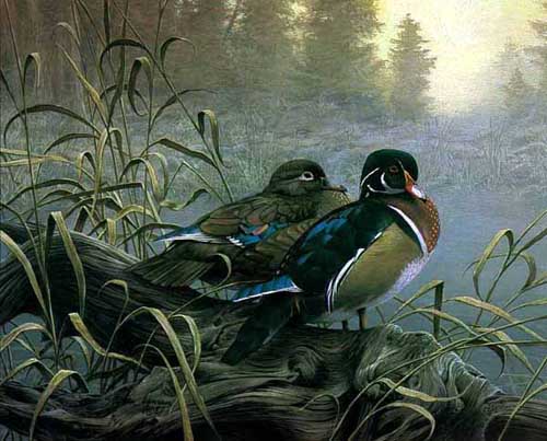 Painting Code#5533-Mandarin Ducks