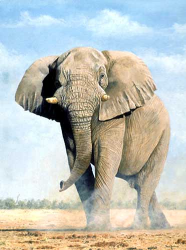 Painting Code#5536-Elephant