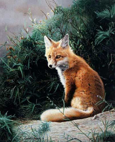 Painting Code#5542-Red Fox