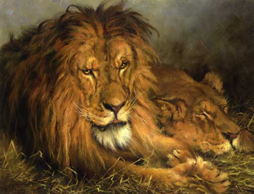 Painting Code#5557-Geza Vastagh - A Lion and Lioness