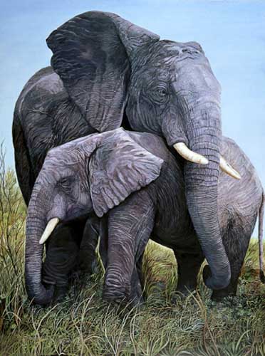 Painting Code#5559-Elephants