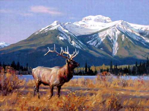 Painting Code#5561-Deer
