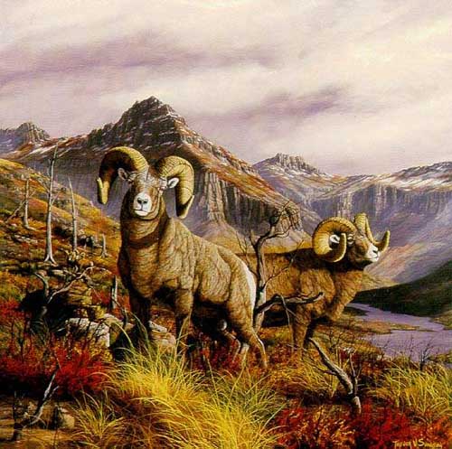 Painting Code#5562-Goats on Landscape