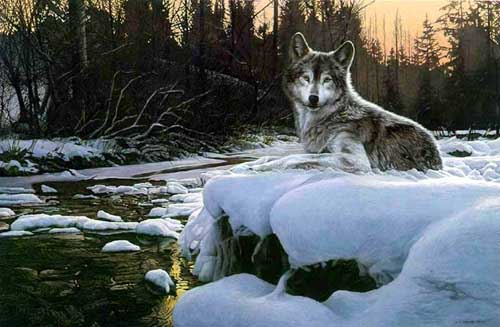 Painting Code#5576-Wolf in Snow