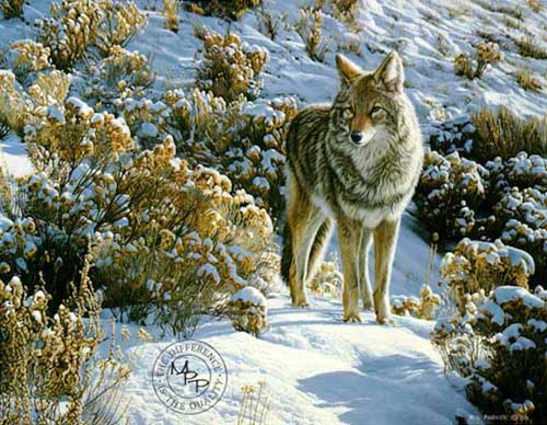 Painting Code#5577-Wolf in Snow