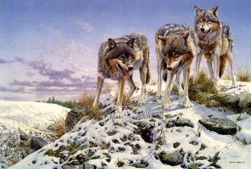Painting Code#5578-Three Wolves in Snow