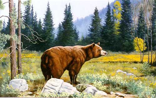 Painting Code#5581-Brown Bear in Spring Landscape